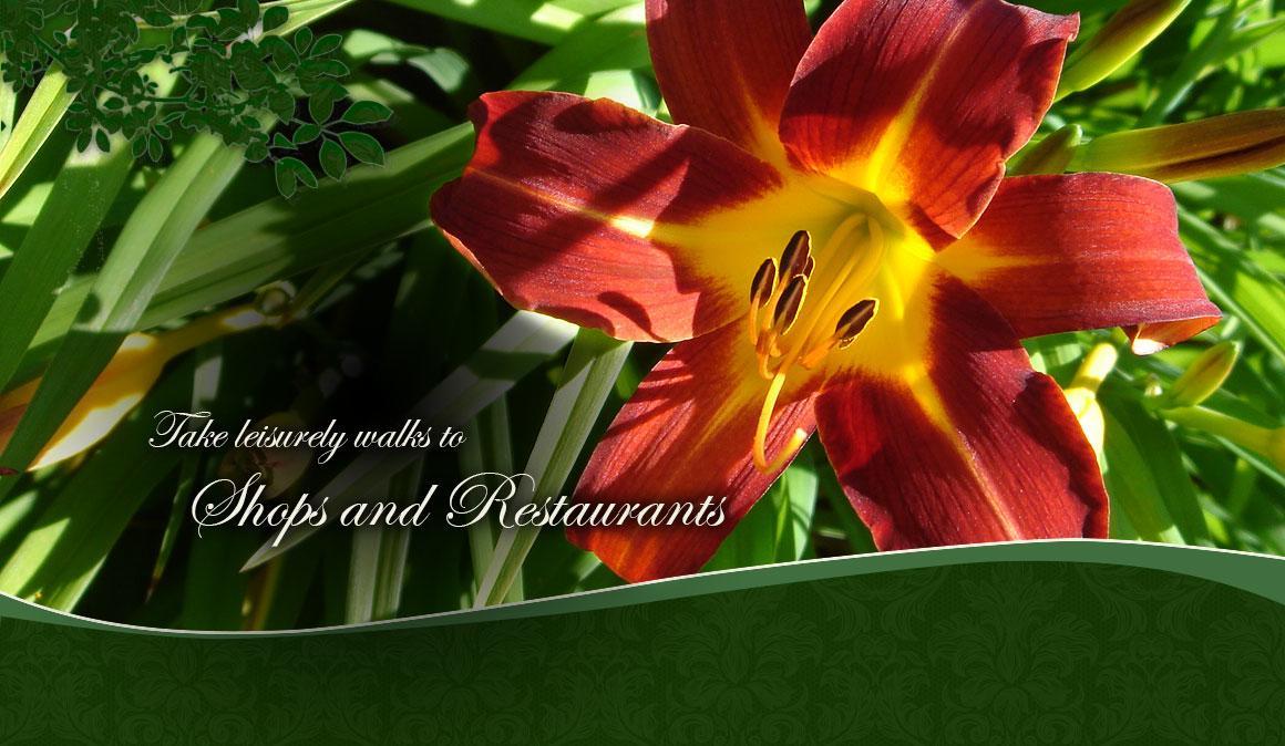 פן יאן Trimmer House Bed And Breakfast מראה חיצוני תמונה